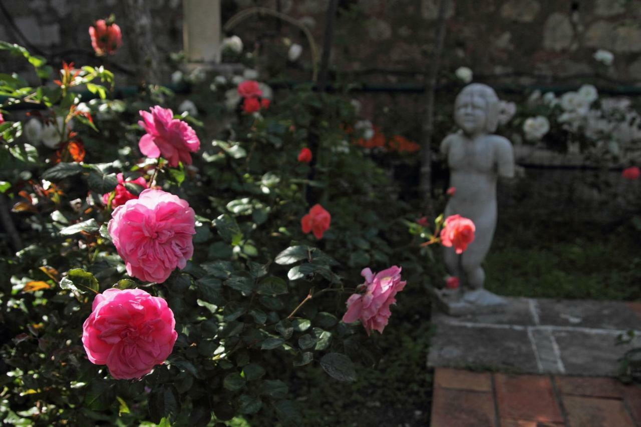 Old Town Garden Apartments Dubrovnik Ngoại thất bức ảnh