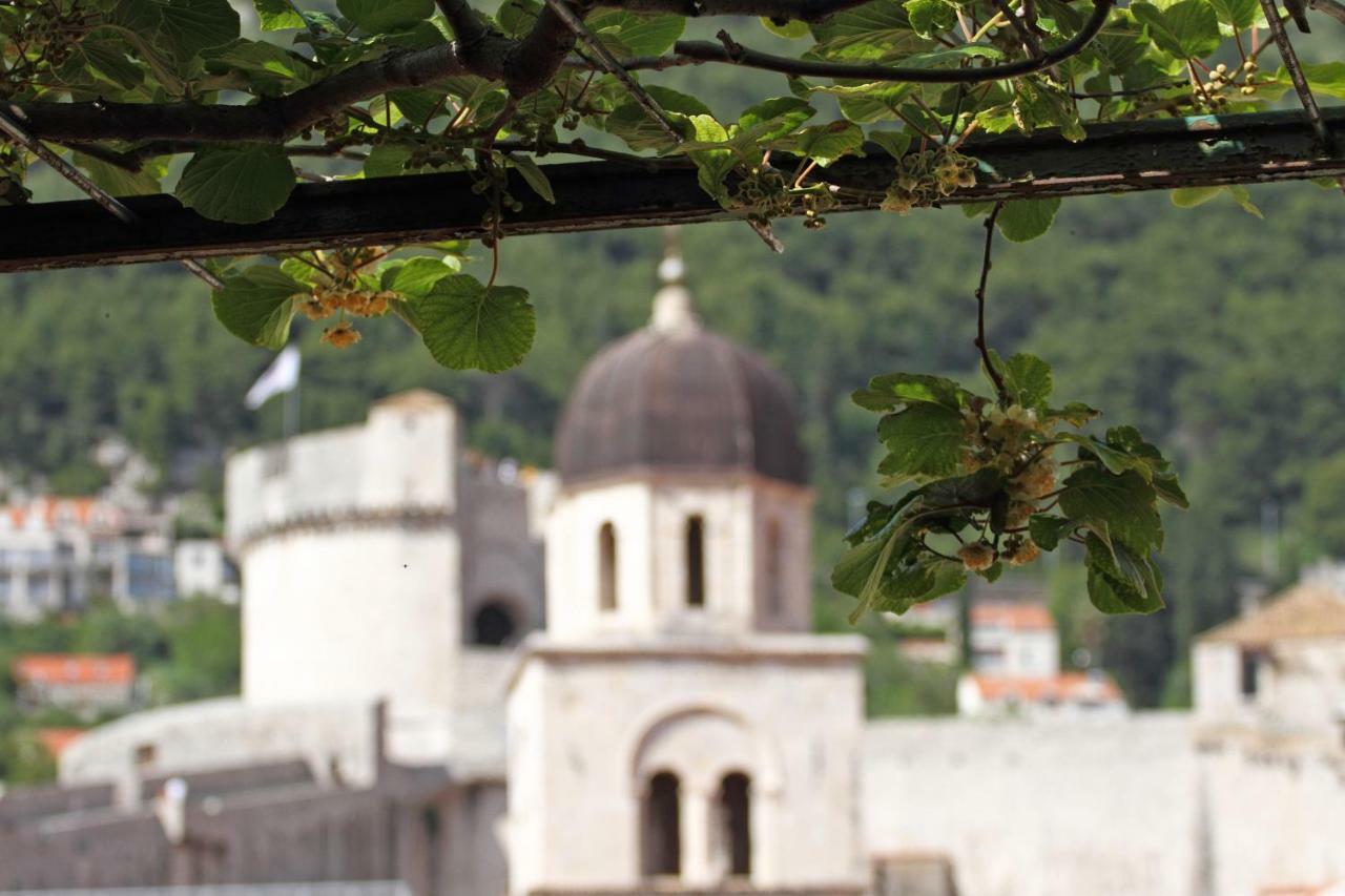 Old Town Garden Apartments Dubrovnik Ngoại thất bức ảnh
